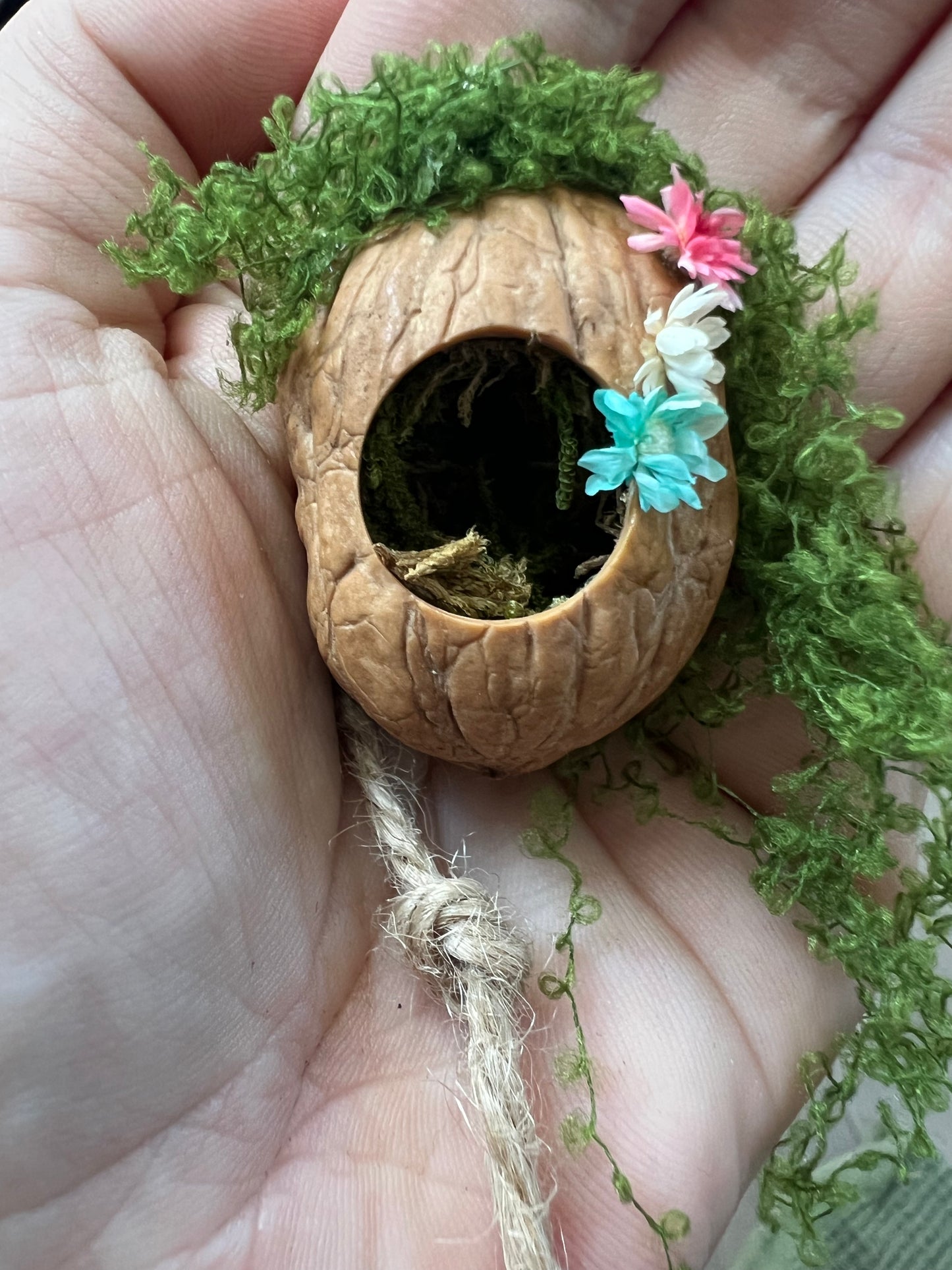 Jumping Spider Magnetic Walnut Spider Hide, Pet spider, Handmade Fairy Garden Dried Flowers & Rope Ladder