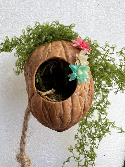 Jumping Spider Magnetic Walnut Spider Hide, Pet spider, Handmade Fairy Garden Dried Flowers & Rope Ladder
